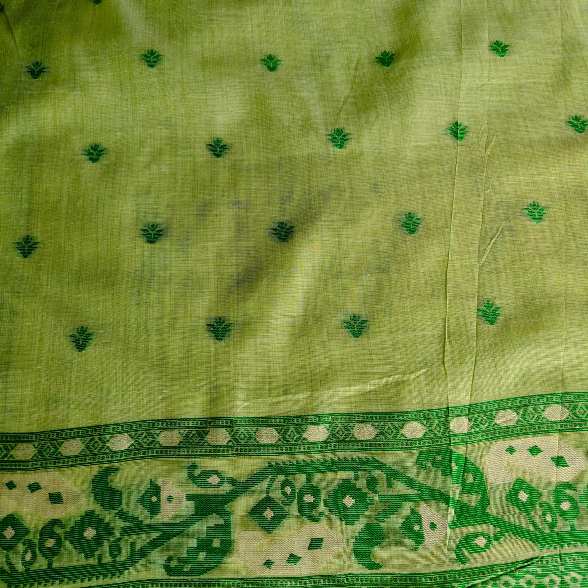 sage Green Muga Cotton Jamdani Saree