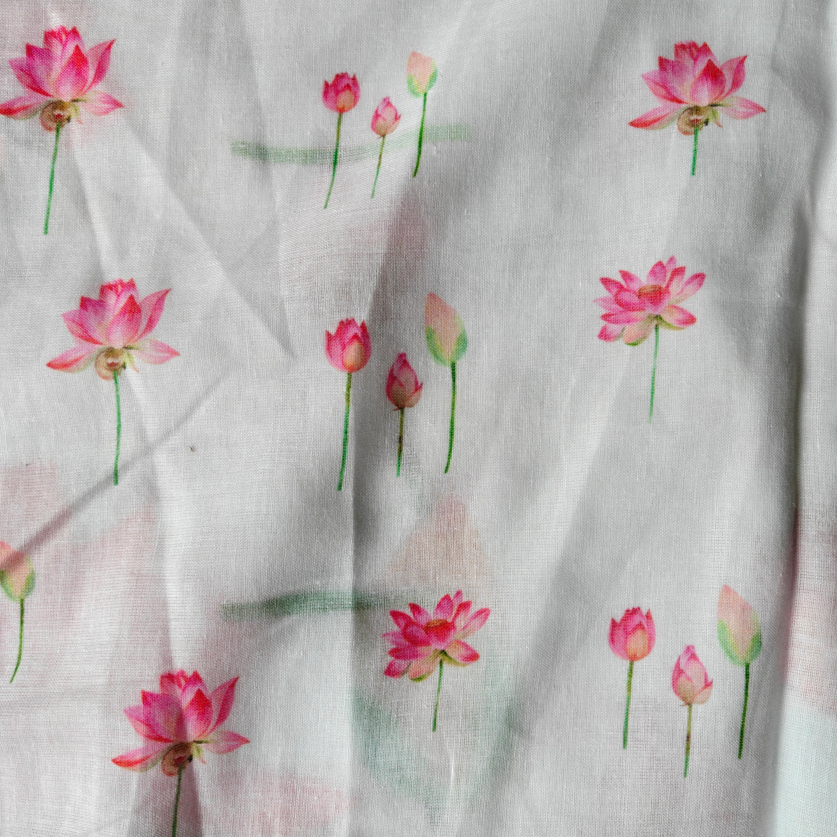 Lotus Motifs on White Mul Cotton Saree