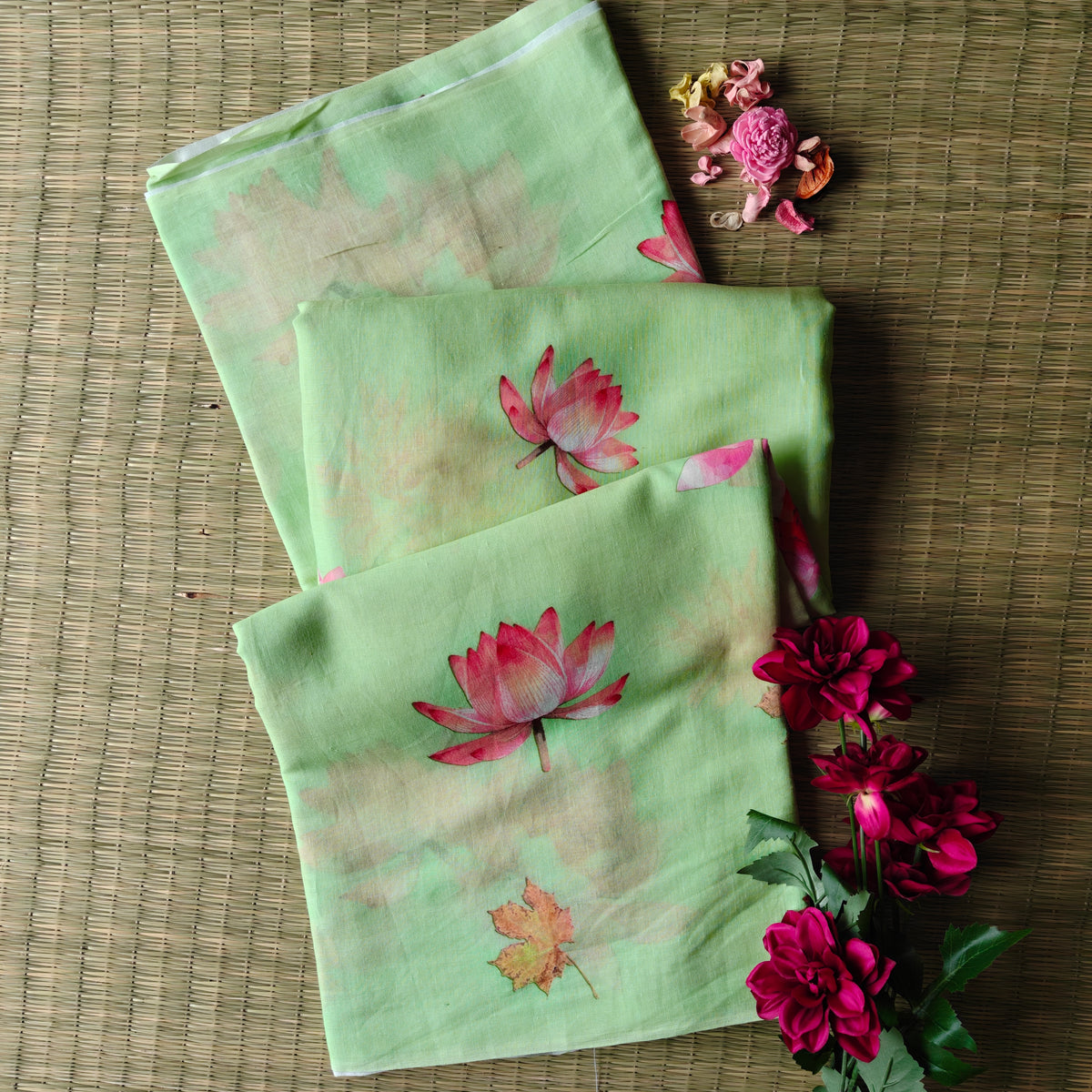 Graceful Mul Cotton Saree with Lotus Motifs
