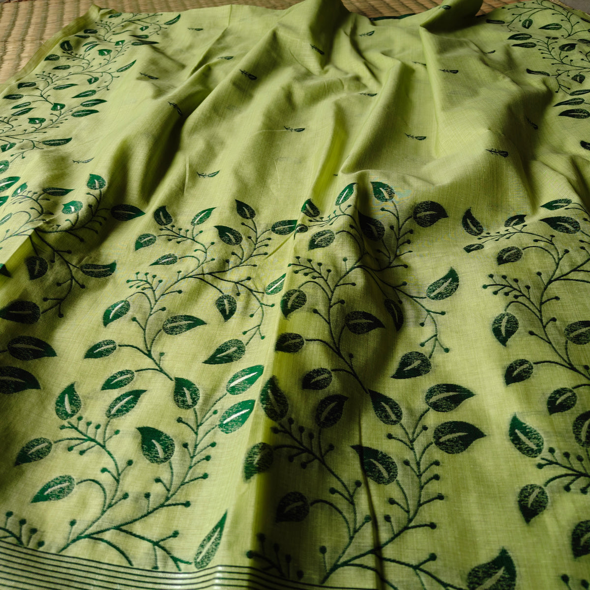 Pistachio Green Chanderi Cotton Saree